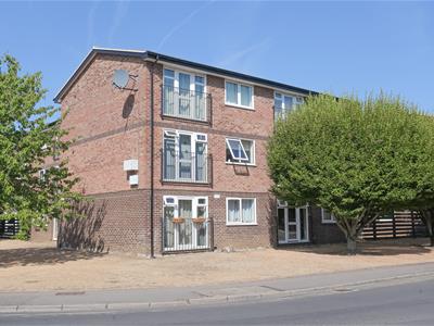 Picture 11